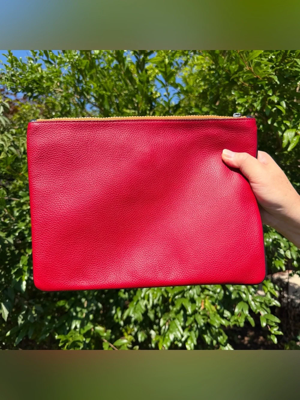 NWT Coach Pouch 30 With Rexy By Guang Yu 75508 - Picture 3 of 12
